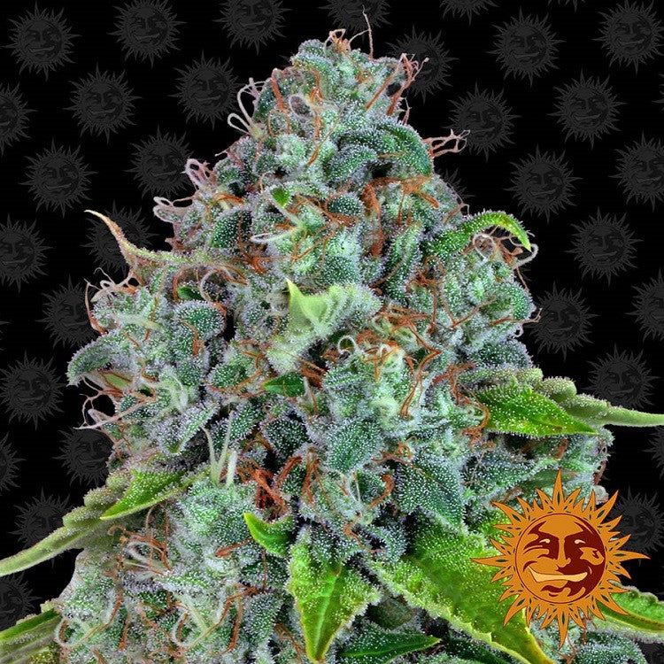 STRAWBERRY LEMONADE