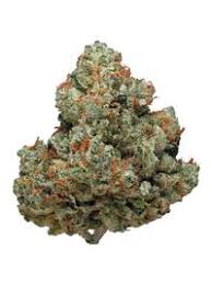 PURPLE CHEMDOG