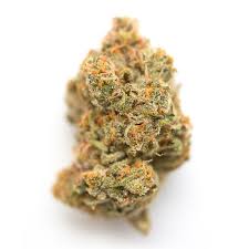 RAINBOW CHIP