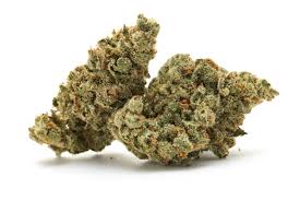 GUSHERS X TRIANGLE KUSH