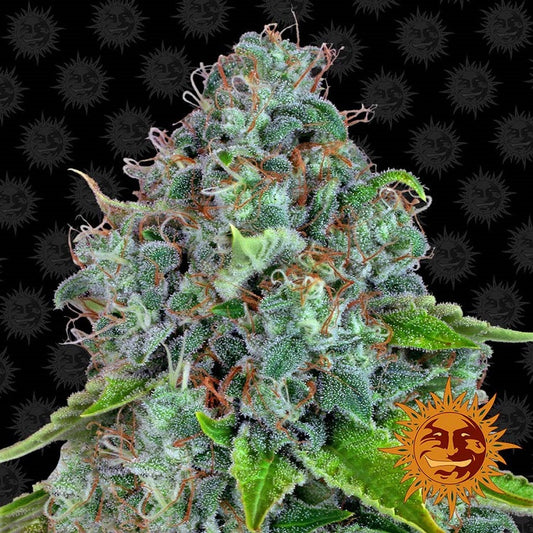 STRAWBERRY LEMONADE