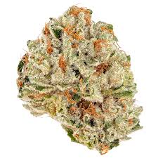 Zweet Inzanity x Trop Cookies